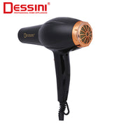 Hair Dryer DS-5582