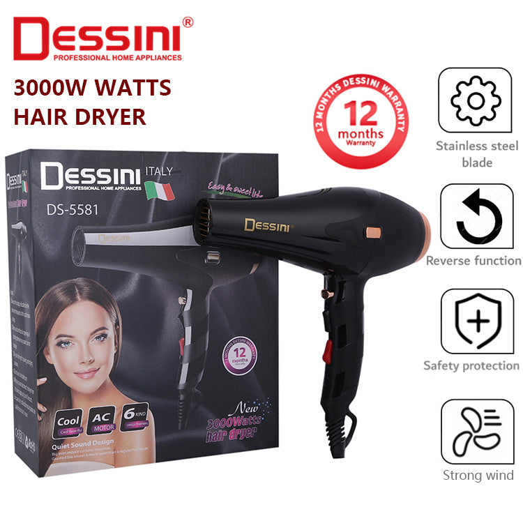 Hair Dryer DS-5581